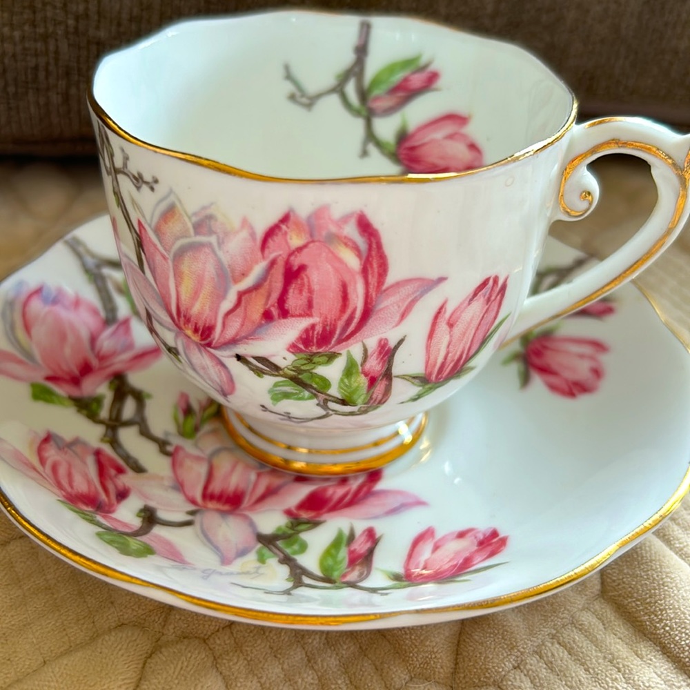 Fine Bone China Cup & Saucer Magnolia Made in England